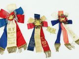 three ribbons with ribbons on them are tied together on a white surface