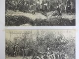 two old black and white photos of men and dogs in a wooded area
