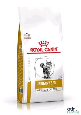 Royal Canin Veterinary Urinary S/O, aliment pour chat à apport calorique modéré