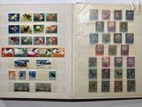 a book with a lot of different stamps on it