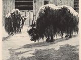 un dessin en noir et blanc représentant un yack dans la neige