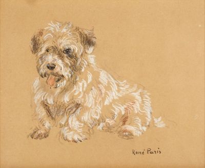 René PARIS (1881-1970), "Bichon assis", pastel et rehaut de …