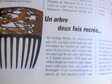 un livre ouvert sur lequel figure l'image d'un peigne