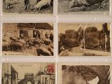 quelques vieilles cartes postales représentant des animaux et des habitants d'un village