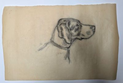 drawing of a dog ' s head on a piece of paper