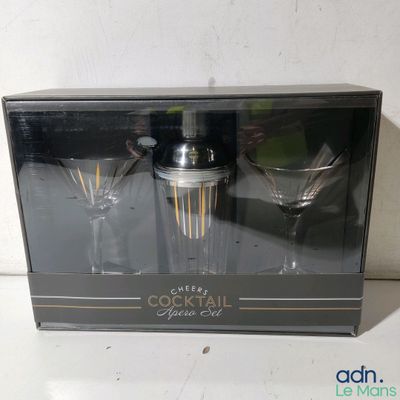 deux verres à cocktail et un shaker dans la boîte