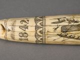 an elephant tusk with egyptian writing on it on a gray surface