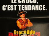 Photo 8/10 du lot