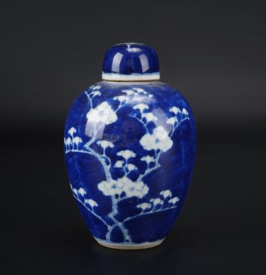 blue and white porcelain vase with flowers on a black background