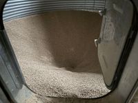 Silo d'intérieur de stockage et son contenu résiduel (stock … (photo 5)