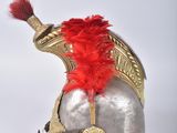 an image of a helmet with a red feather on it