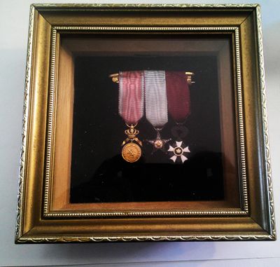 a picture of a picture of a medal and a medal on display