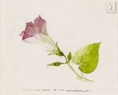 un dessin représentant une fleur rose avec des feuilles vertes