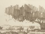 a drawing of a herd of cattle grazing in a field