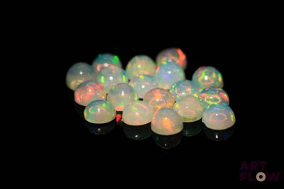 quelques oplites blancs sont assis sur une surface noire
