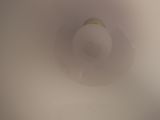 a white toilet bowl with the lid down