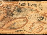 an image of a piece of paper with a drawing on it