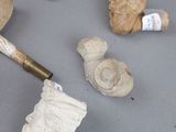 a lot of different items that are on the table