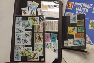 Thématique "Oiseaux"