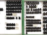 many different types of screws in a display case