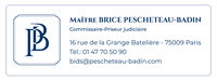 Maître Brice Pescheteau-Badin