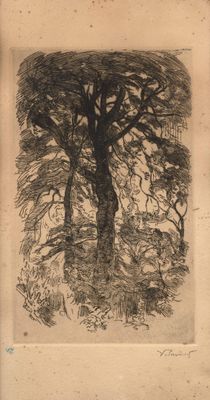 an image of a drawing of a tree in a field