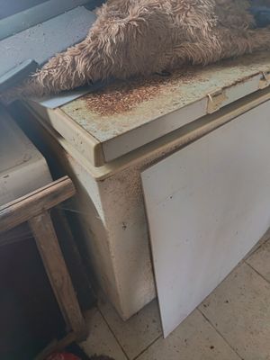 Congélateur bahut pour l'équarrissage