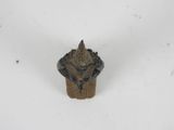 a small animal that is sitting on top of a piece of wood