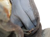 a close up of a pair of shoes that have been worn
