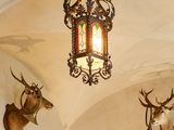 deux têtes de cerfs accrochées au mur de cette pièce