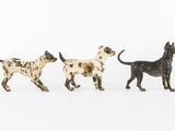 three miniature dogs are lined up in a row on a white surface
