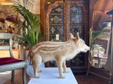 a fake boar standing on a table in a room