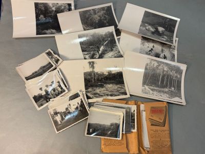 plusieurs vieilles photos en noir et blanc représentant des personnes dans les bois
