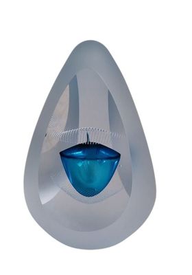 une image représentant des toilettes avec une cuvette bleue à l'intérieur