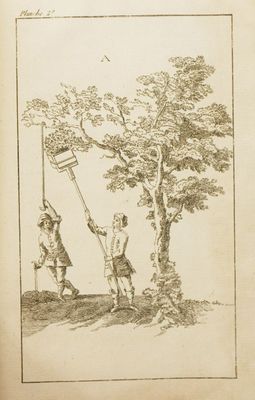 un vieux livre sur lequel figure le dessin de deux hommes tenant un drapeau