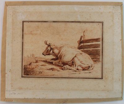 une photo d'une vache couchée par terre