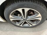 a cat that is hiding under the tire of a car
