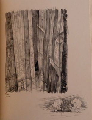 drawing of a cat sitting on the floor in front of a curtain