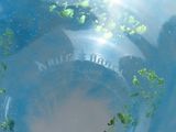 a close up picture of a blue vase with green leaves on it