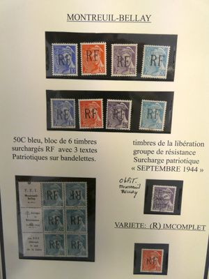 une photo d'une collection de timbres accrochée au mur