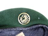 a green beret with a gold eagle emblem on it