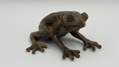 Pierre CHENET (XXIe siècle) Grenouille