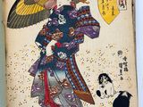 an image of a woman with an umbrella and a cat