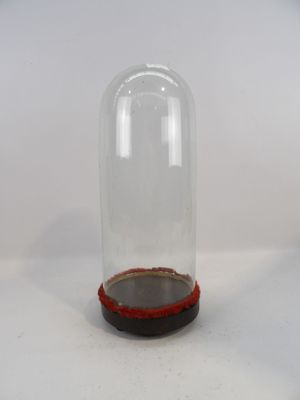 une petite cloche en verre posée sur un socle en bois, sur une surface blanche