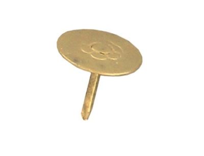gros plan d'une pièce d'or sur fond blanc
