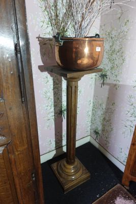 une plante en pot posée sur un socle dans une pièce