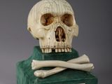 a skull and crossbones on top of a book