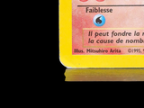 Photo 6/11 du lot