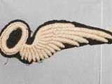 a small black and white wing on a clear display case