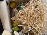 a cardboard box with a bunch of items inside of it